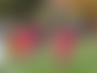 0:2 - VfL enttäuscht gegen den SV Espenau