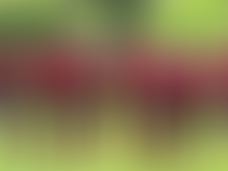 Letzter Schritt Richtung Kreisliga A