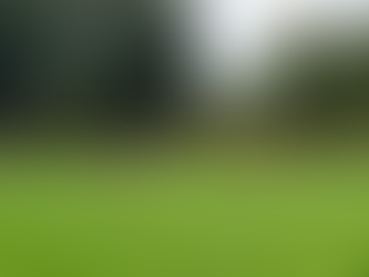 0:5 - Ernüchterung im VfL-Lager