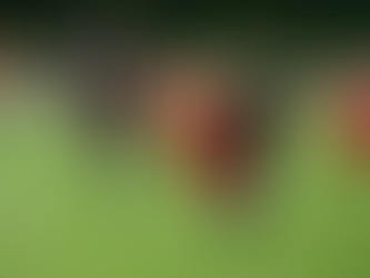 Niederlage bei den Junglöwen