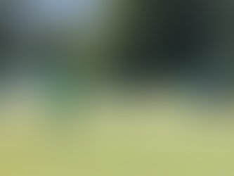 2:1-Erfolg gegen die JSG HNU