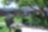 IMGA0293-edit1.jpg