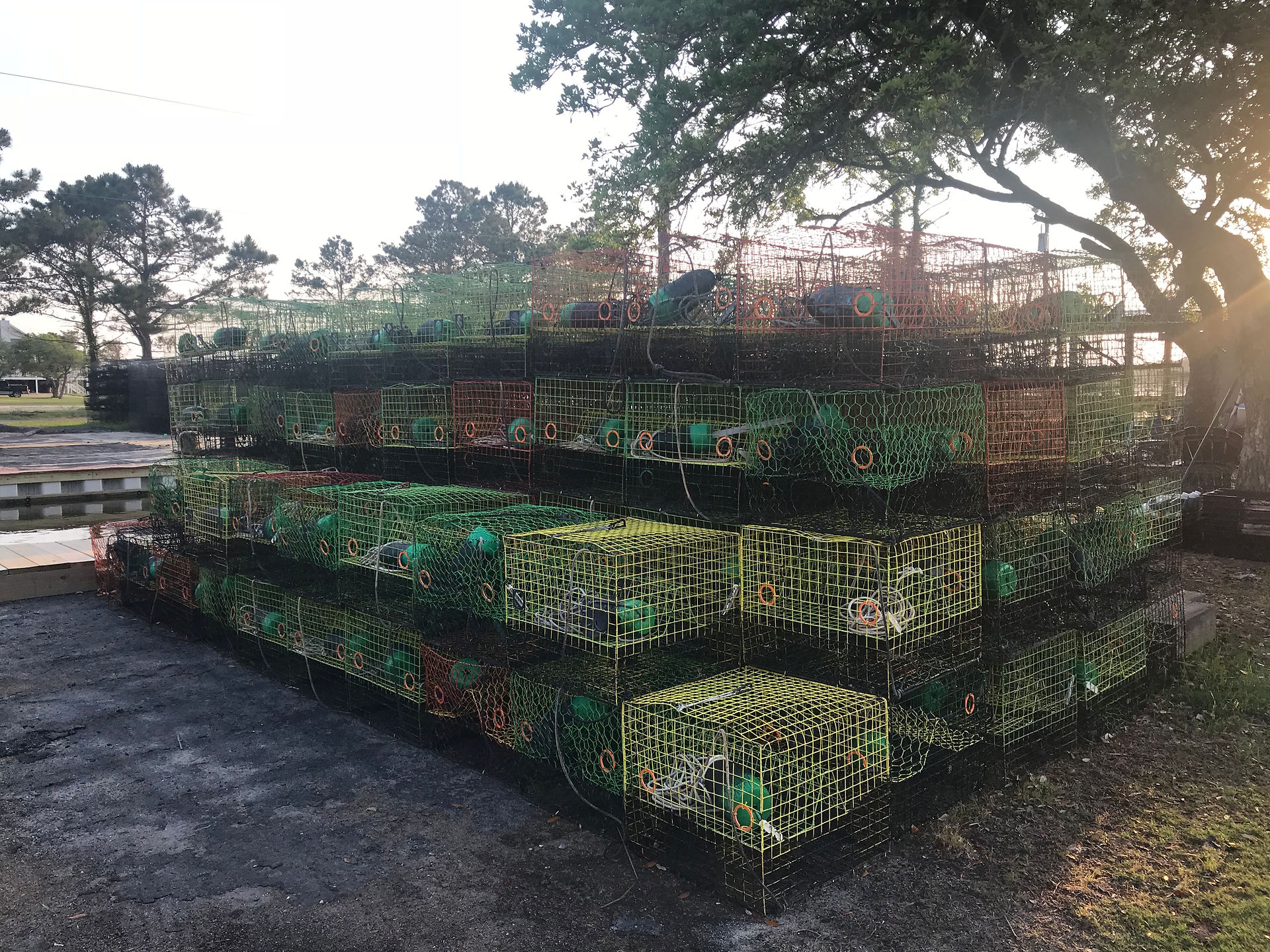 Crab cages for the Albemarle Sound