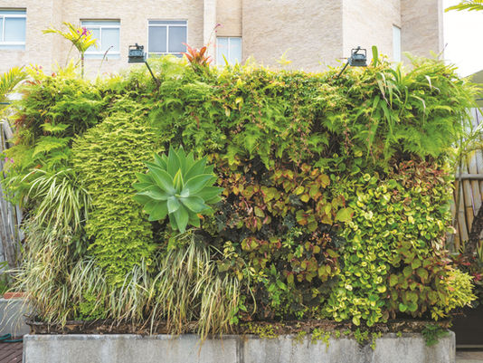 Más allá de las hojas: El rincón verde en tu hogar que calma el ruido del mundo.