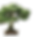P1010835_1_edited.png