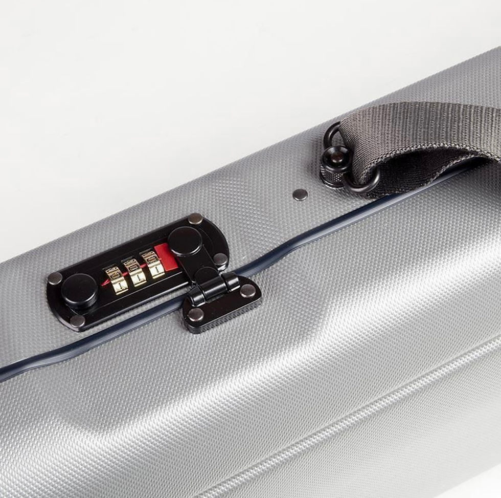 Miniatura: VALIGETTA COMPATTA ABS L