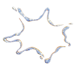 Untitled design (6).png