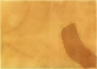 0524_BlankKentmerePaper_01 copy.jpg