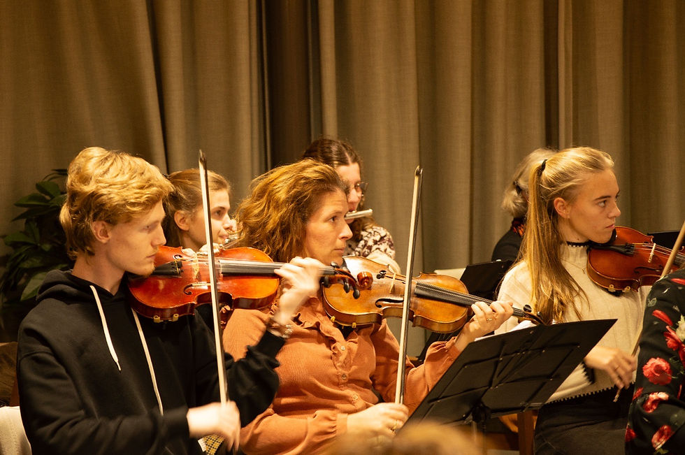 Concert Stichting UmuSA