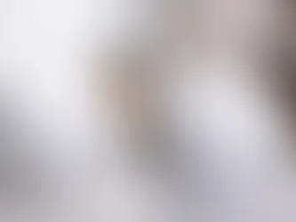 TOTO WASHLET S2 VS TOTO WASHLET S5 Comparison