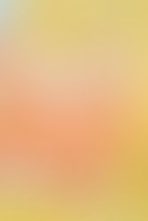 Citrus Summertime Tote