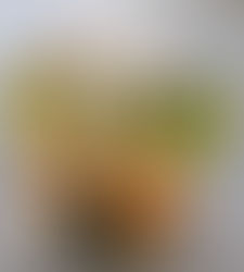 Sturdy Halloween Treat Bags