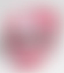 Zippered Oval Vanity Bag – Multi-size