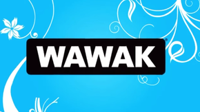 Sewing A Zipper Into A Beach Bag – Wawak’s Free Tutorial