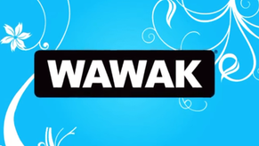 Sewing A Zipper Into A Beach Bag – Wawak’s Free Tutorial