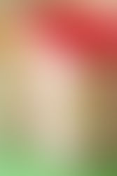 Spring Fabric Buckets