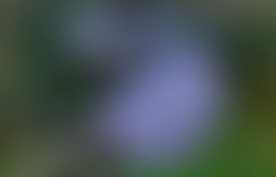 Stroller Saddle Bag - Sew and Sell