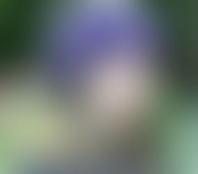 The Bunham Fleece Beret Hat