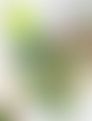 The Carry Anything Bag – PDF Sewing Pattern