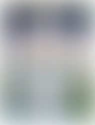 The Catalina Mini Backpack Purse