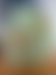 Crochet Aquarium Bag + Crochet an Octopus Applique = Free Tutorials