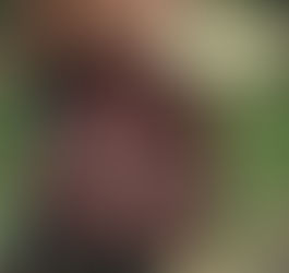 The Brief Encounter Bag