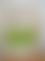 Lazy Daisy Market Bag Crochet Pattern