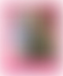 Quilt-as-you-go Scrappy Poppy Bag