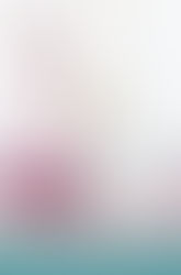 The Whimsical Alice Bag