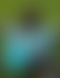 The Pockets-A-Plenty Tote