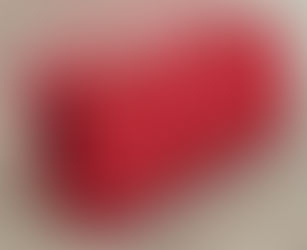 Expanding Organizer Bag for Crafts and Sewing