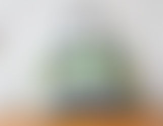 The Boronia Bowler Bag