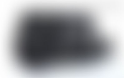 The Madge Concealed Carry / Fold Over Bag