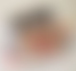 The All-in-One Box Pouch - PDF Sewing Pattern