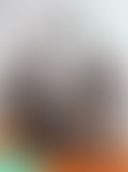 Modern Military-Style Purse PDF Sewing Pattern