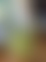 DIY Padded Camera Bag