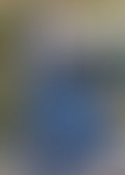 How to Upcycle a Tweed Skirt into a Handbag + Draft a Basic Harris Tweed Coin Purse Pattern