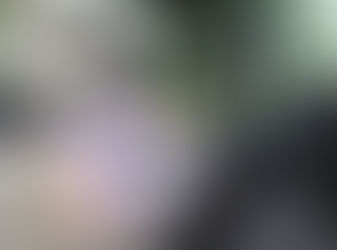 Compact Car Organizer Bags