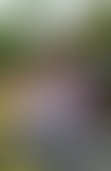 The Hello Beautiful Bag