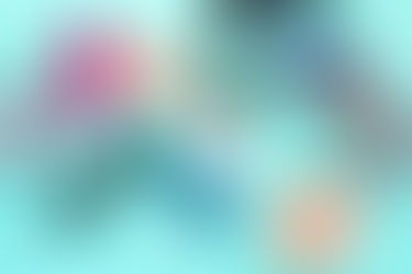 Kailo Chic Sunglasses Case