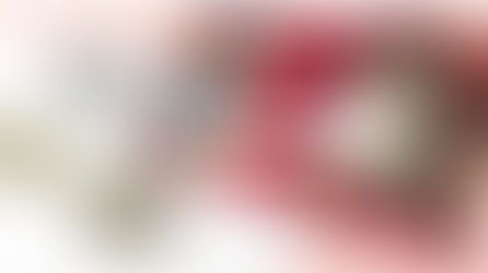 Magnetic Snaps Made Easy for Bag Making