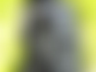 The Speedwell Back Sling Bag