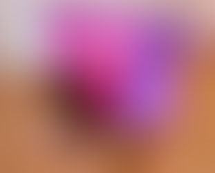 Seat Belt Series: The Lux Cosmetic Bag Duo