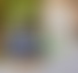 Ellie Travel Case – Free Sewing Tutorial | Zippers Made Easy