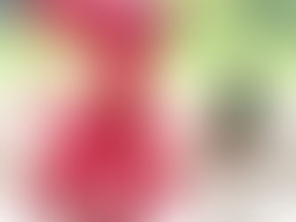 Sweet Toy Deer Crochet ePattern