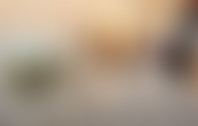 How to Sew a Two and Four Bottle Wine Tote