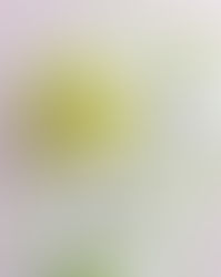 Spring Petals Quilted Table Runner + Napkins