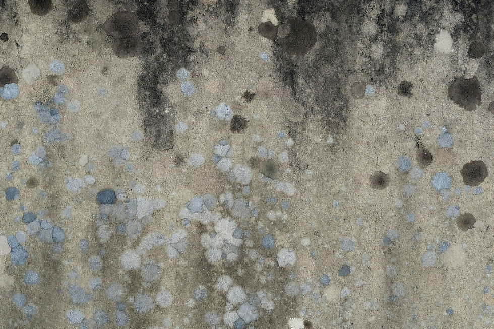 A weathered concrete surface covered in dark water stains and patches of light blue and grey mold or lichen growth.