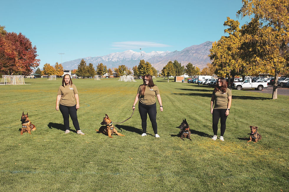 Three women in matching olive t-shirts stand in a grassy park with four dogs, with snow-capped mountains in the background.
