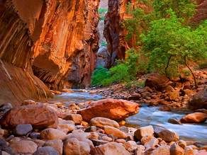River flowing through a red sandstone canyon with green trees and a rocky riverbed